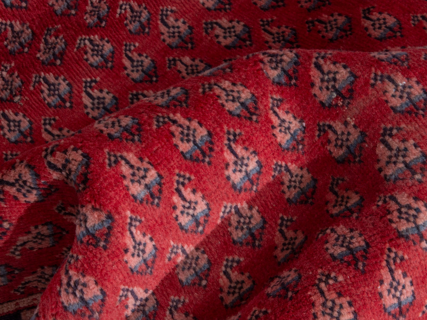 CAN_4377 - 2'11" x 9'10"