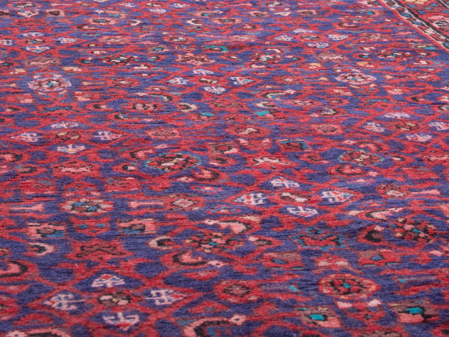 CAN_4379 - 3'5" x 10'1"