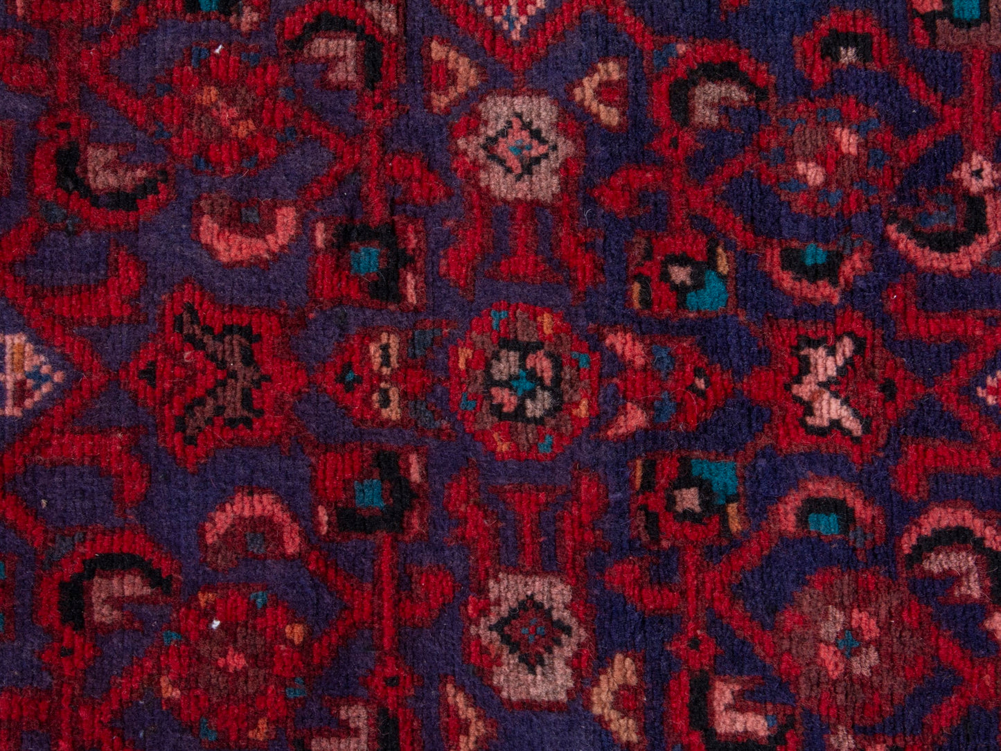 CAN_4379 - 3'5" x 10'1"