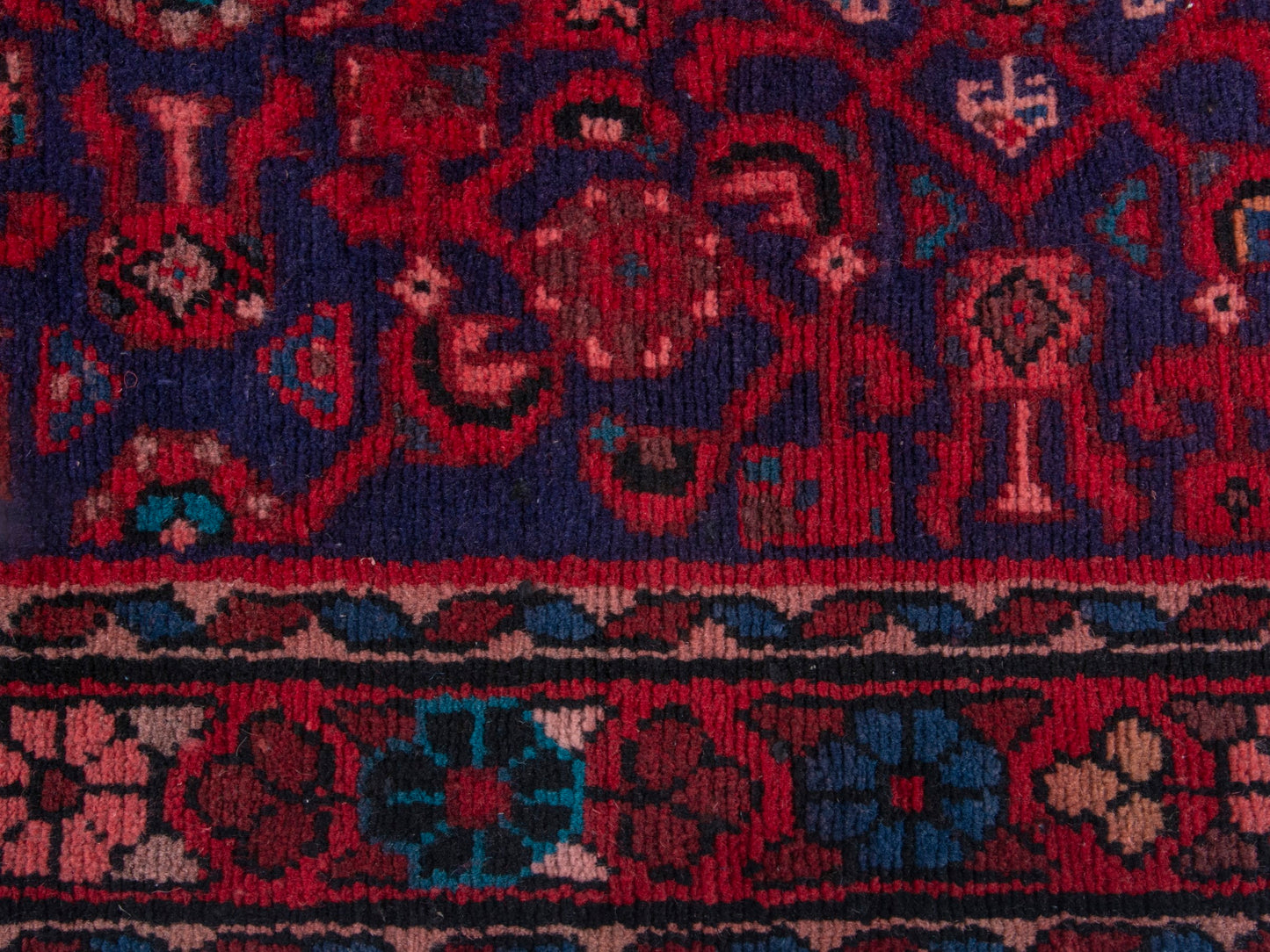 CAN_4379 - 3'5" x 10'1"