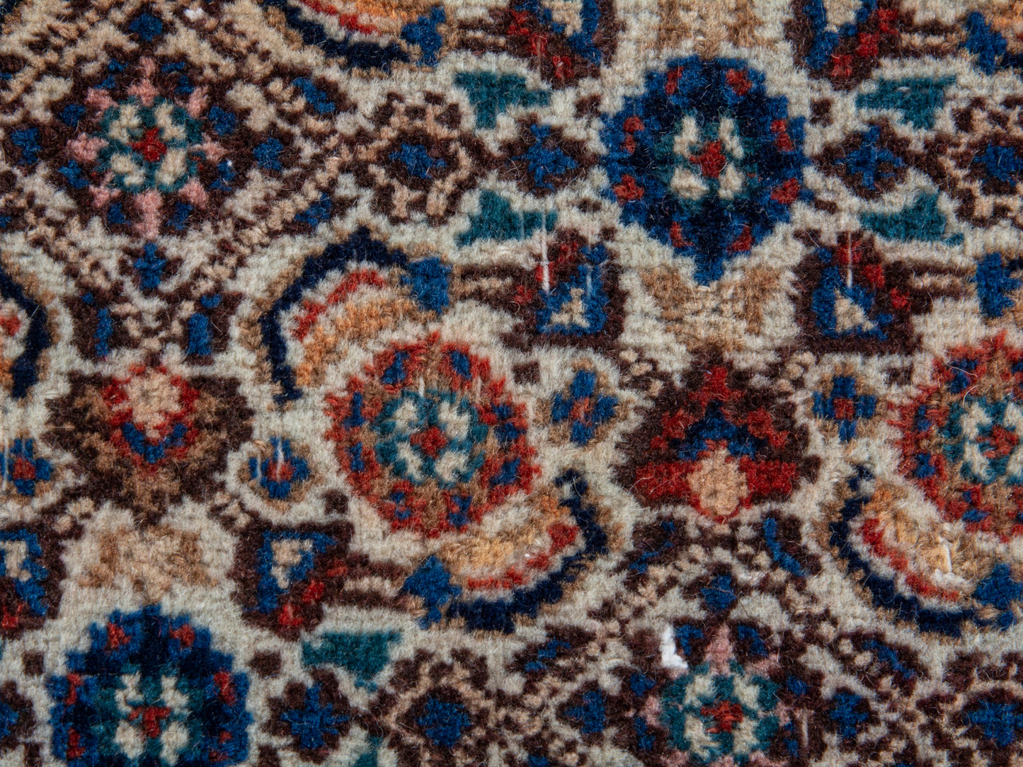 CAN_4399 - 9'11" x 13'6"