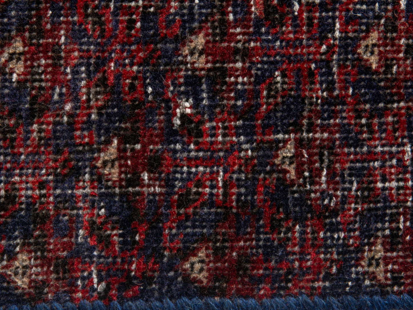 CAN_4606 - 2' x 4'2"