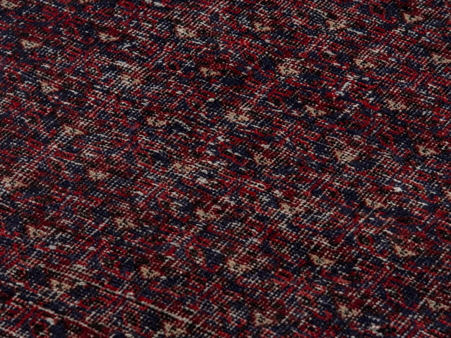 CAN_4606 - 2' x 4'2"