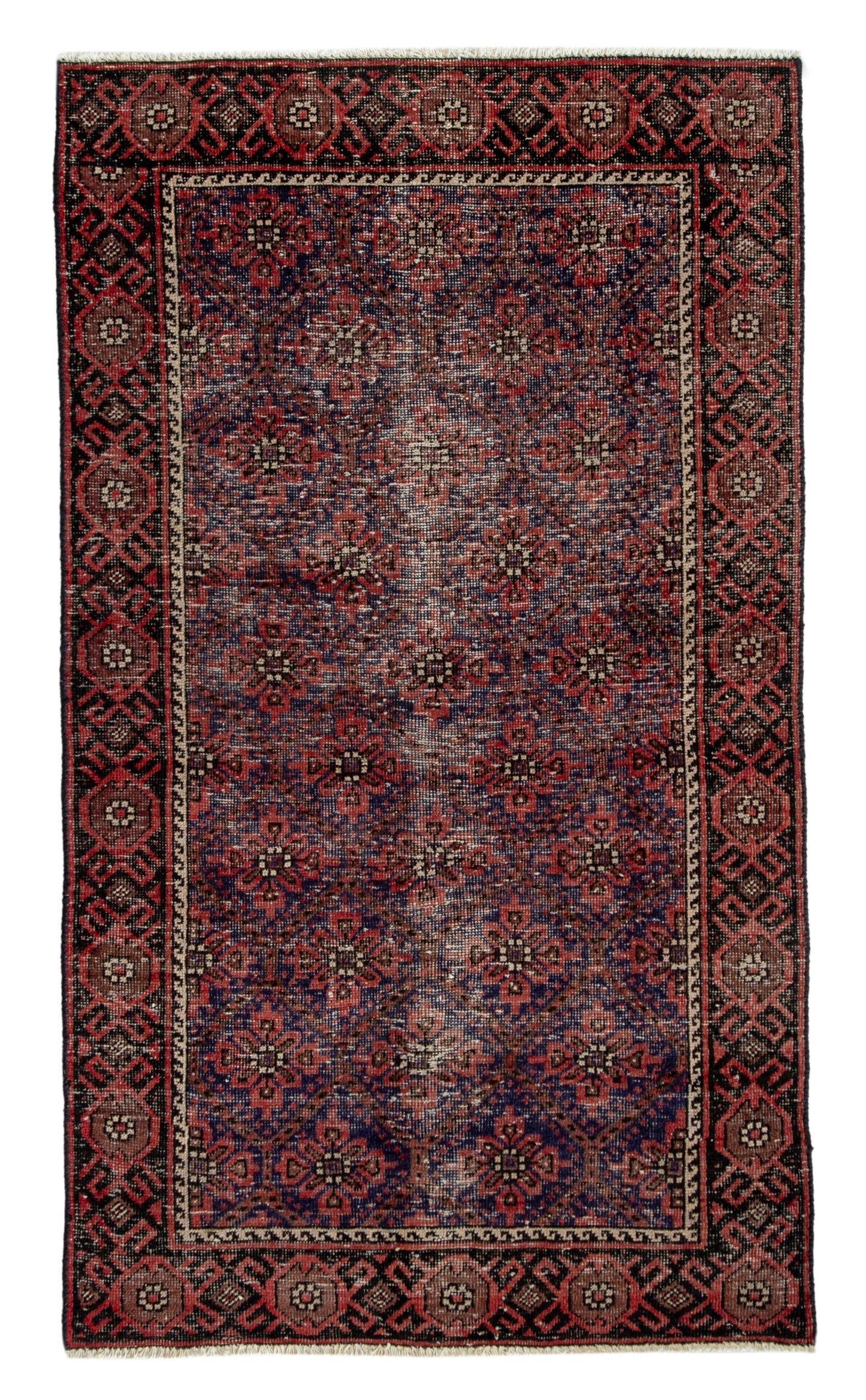 CAN_4608 - 3'3" x 5'7"