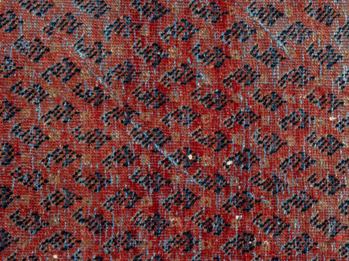 CAN_4623 - 3'3" x 5'9"