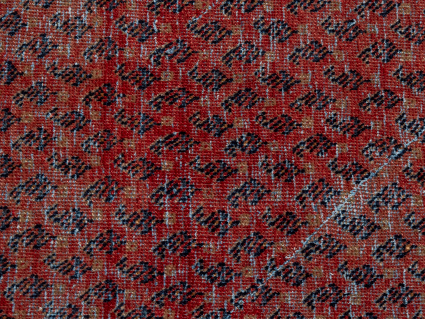 CAN_4623 - 3'3" x 5'9"