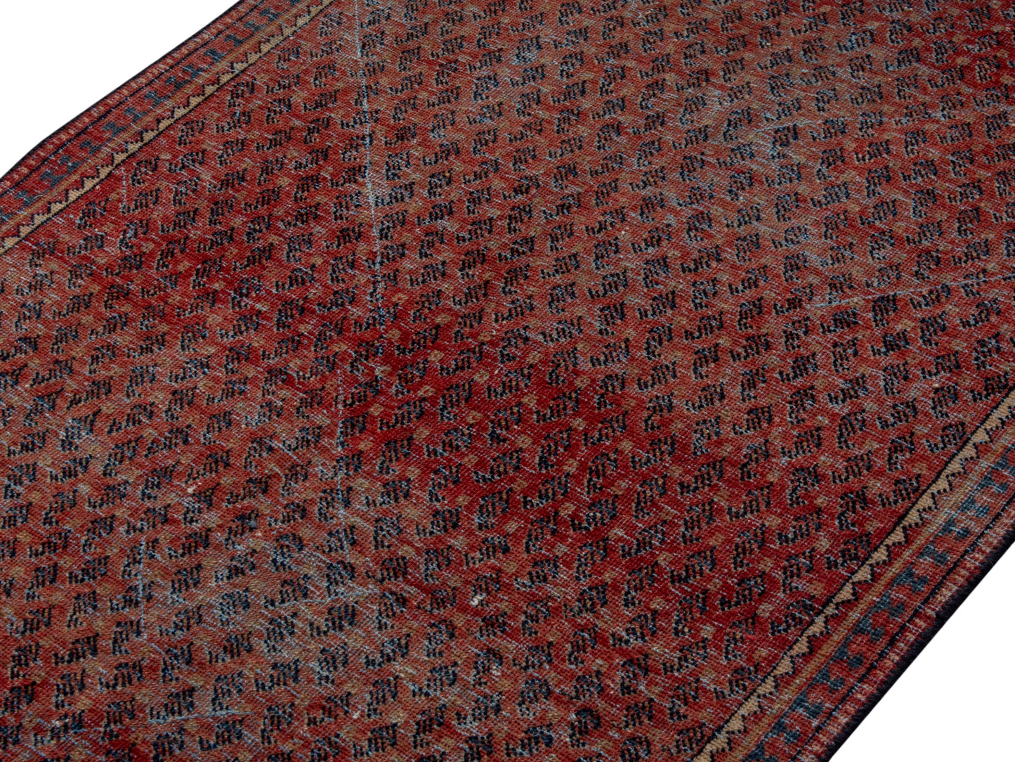 CAN_4623 - 3'3" x 5'9"