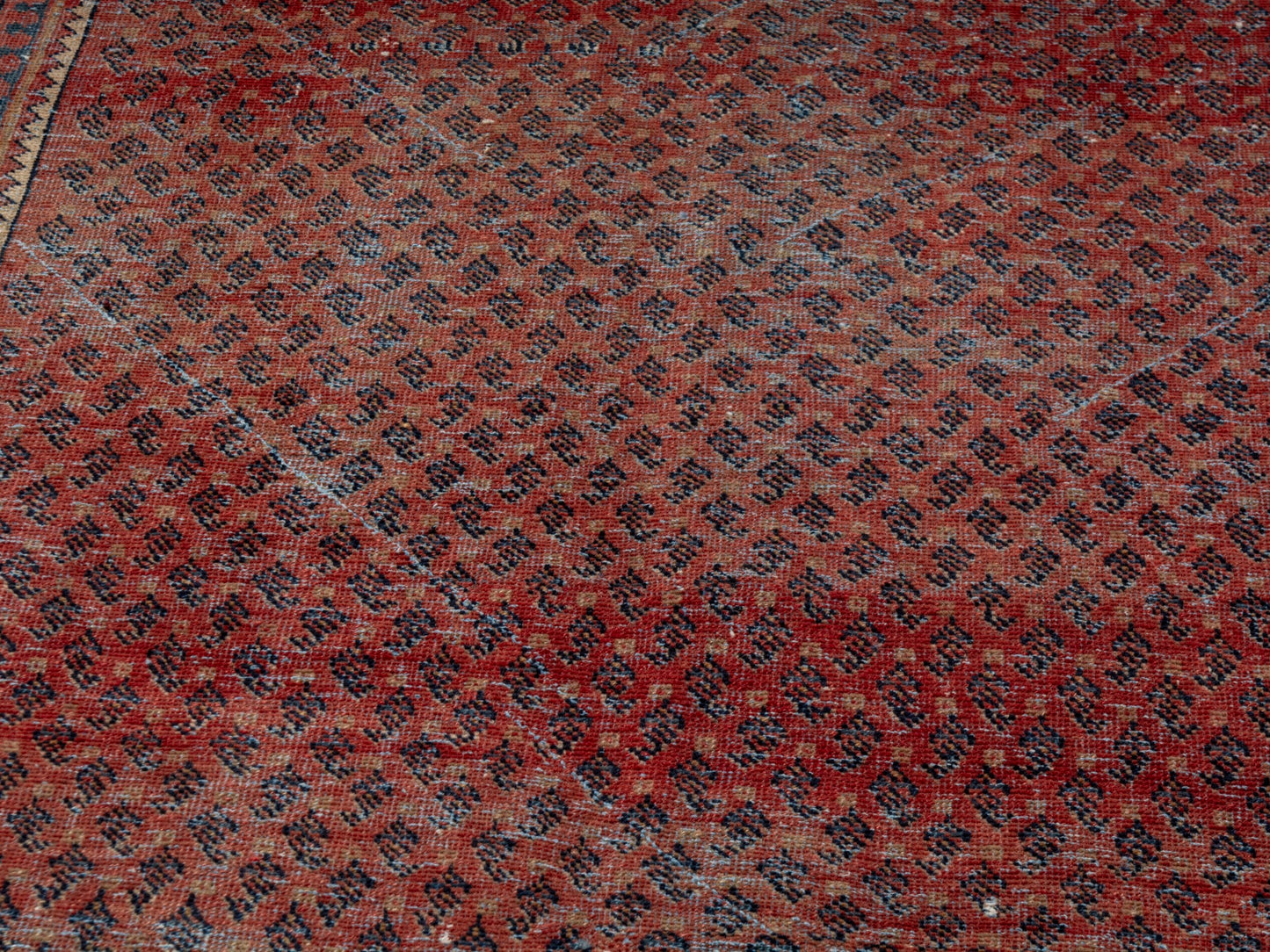 CAN_4623 - 3'3" x 5'9"