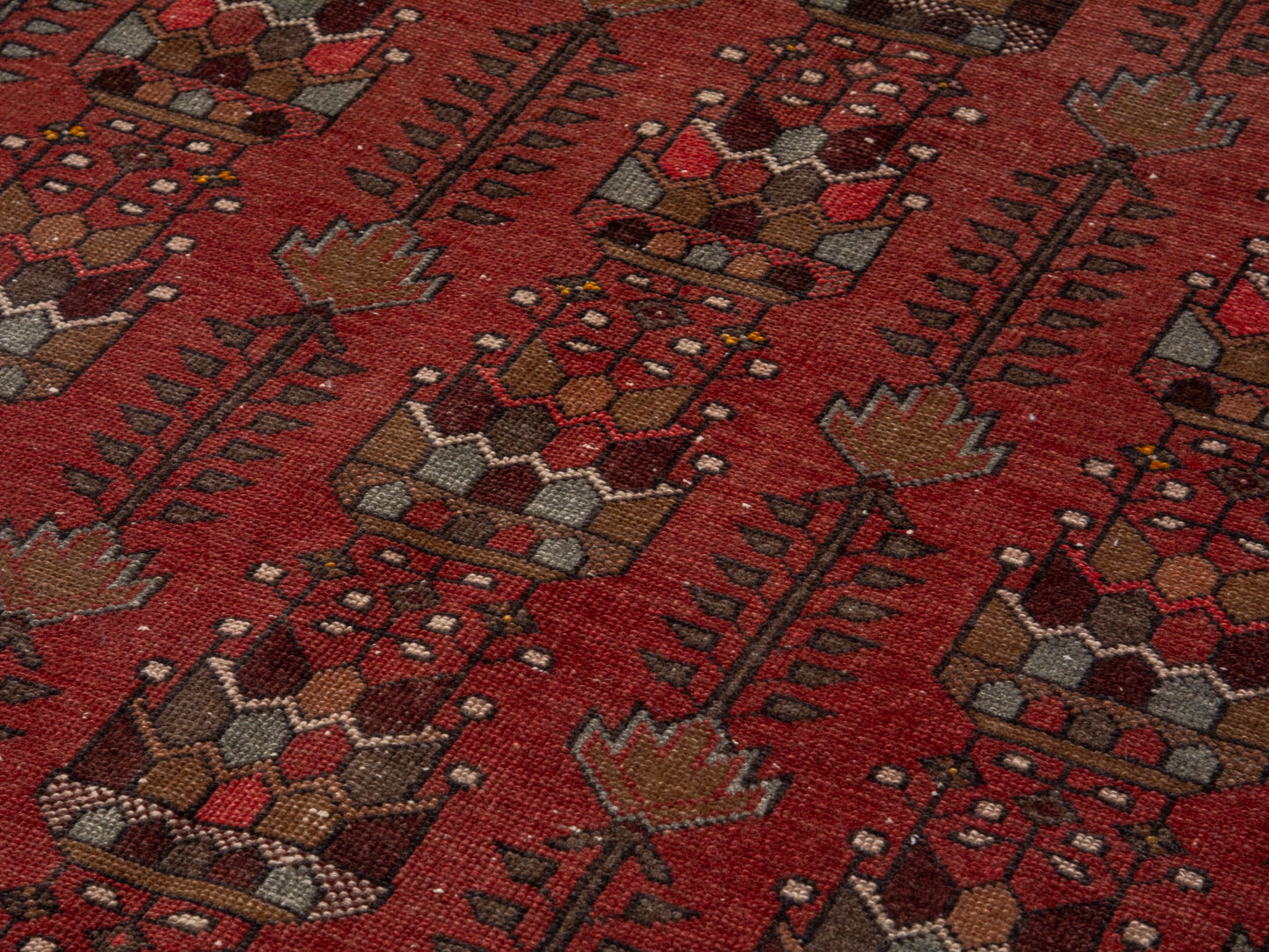 CAN_4633 - 3'4" x 3'10"