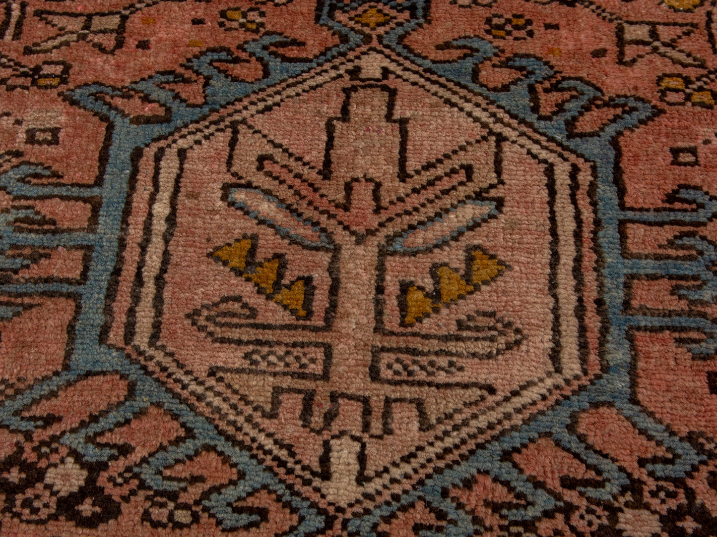 CAN_4646 - 2'3" x 6'