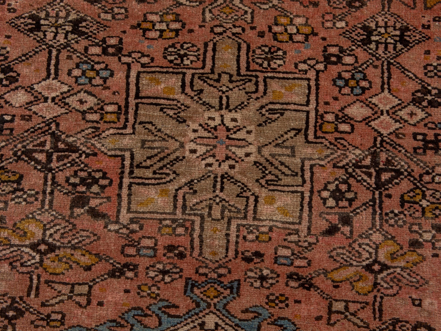 CAN_4646 - 2'3" x 6'