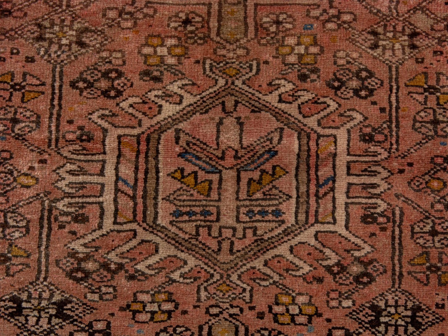 CAN_4646 - 2'3" x 6'