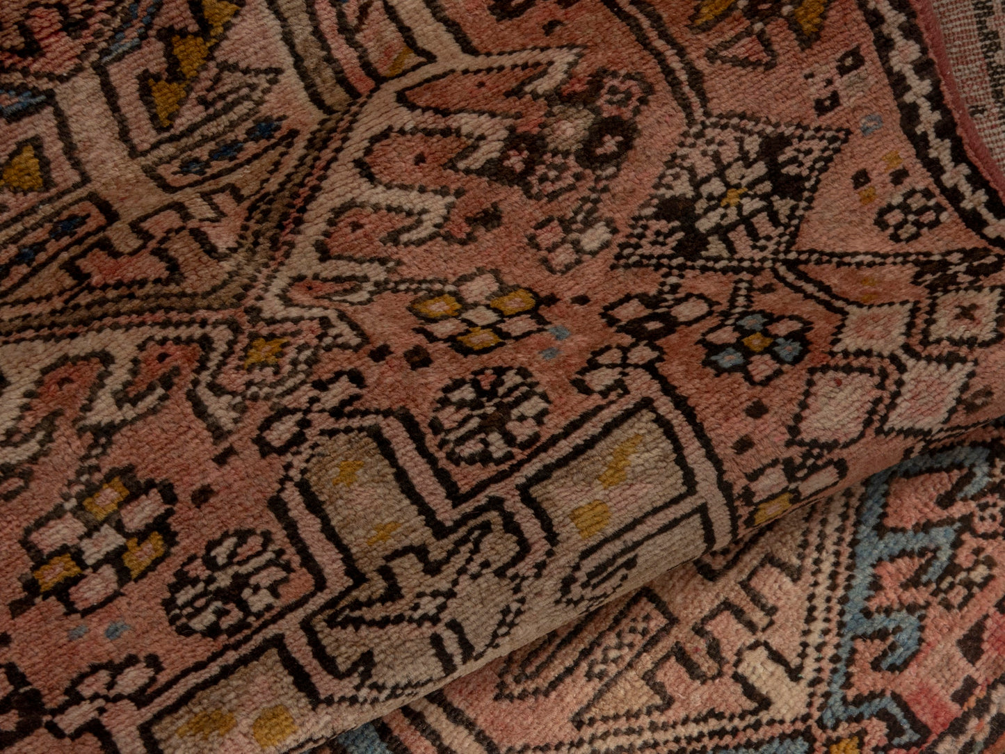 CAN_4646 - 2'3" x 6'