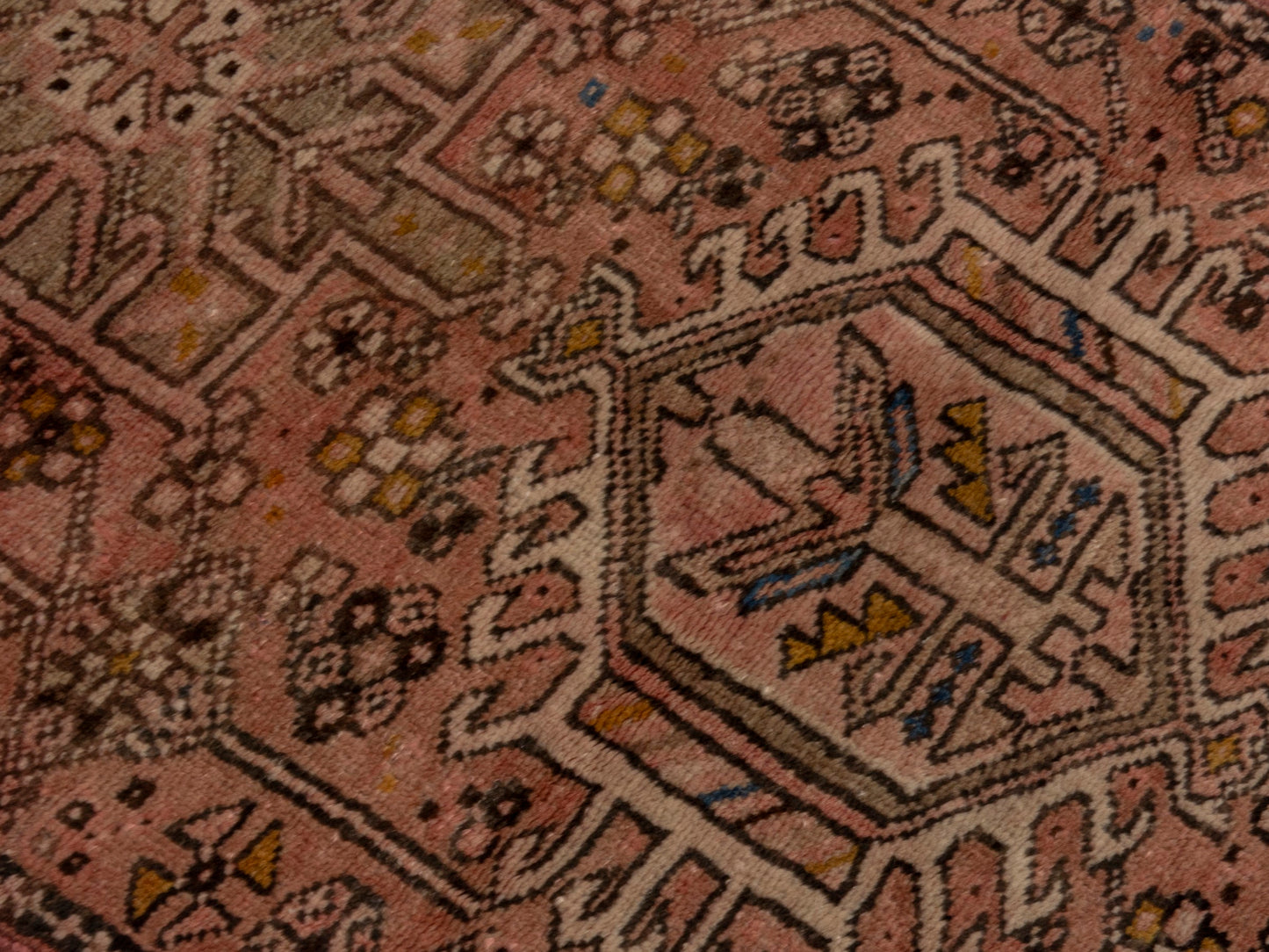 CAN_4646 - 2'3" x 6'