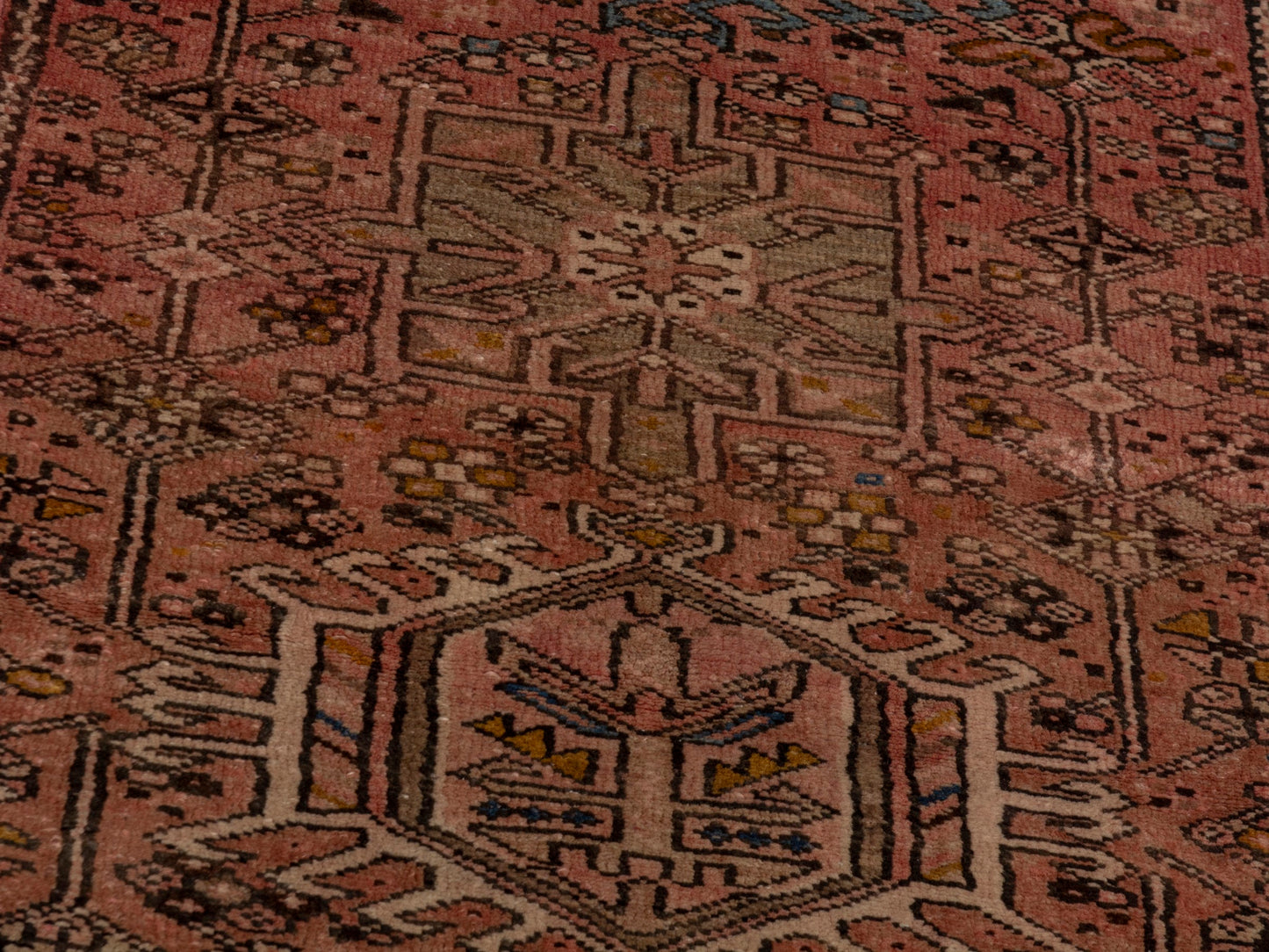 CAN_4646 - 2'3" x 6'
