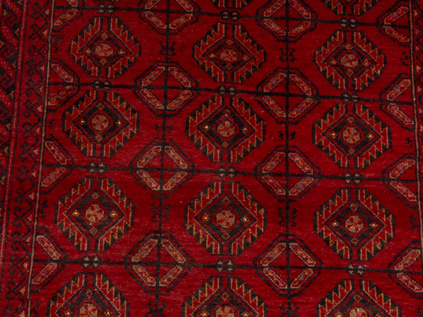 CAN_4651 - 3' x 6'1"