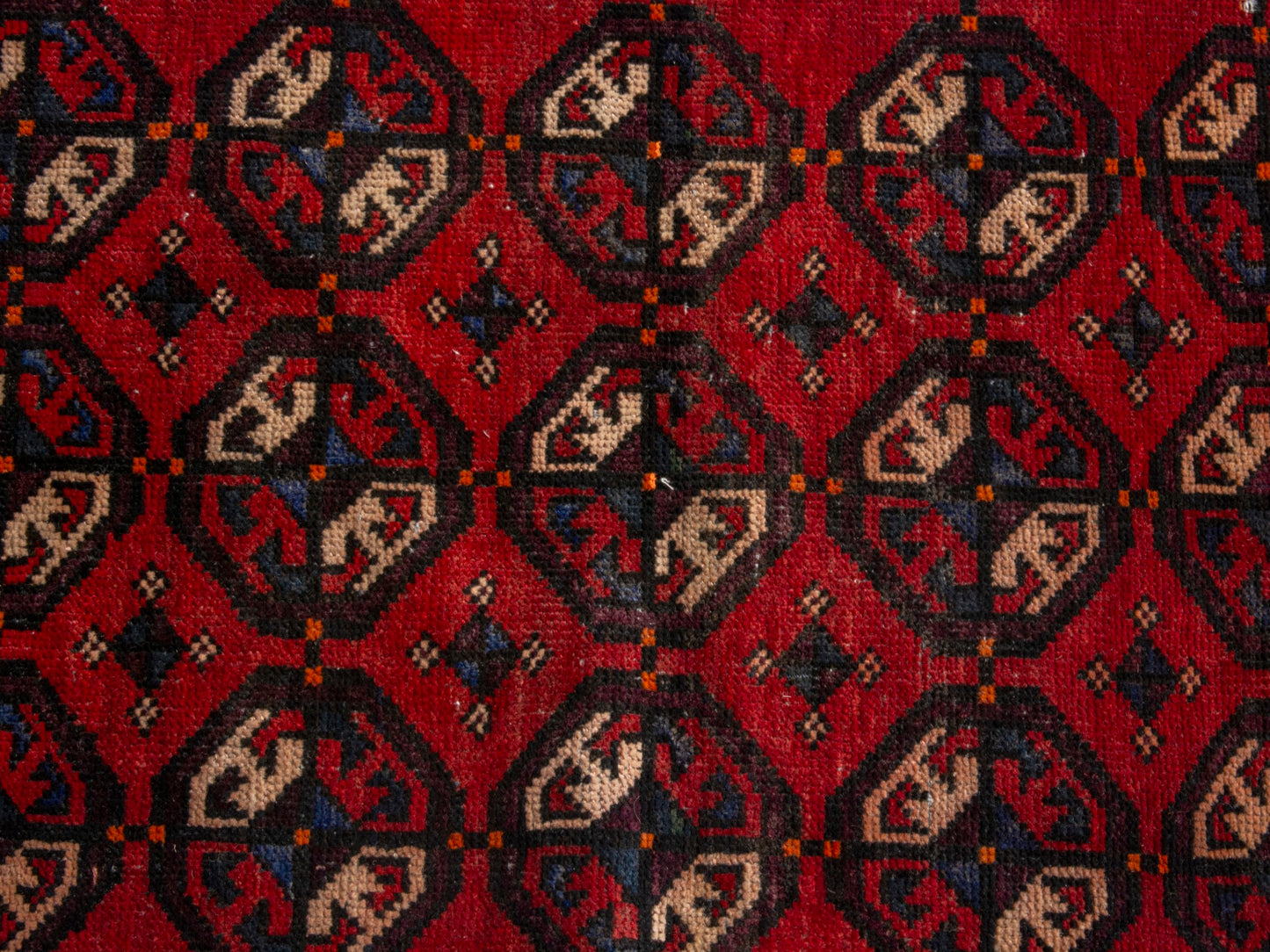 CAN_4661 - 2' x 5'7"