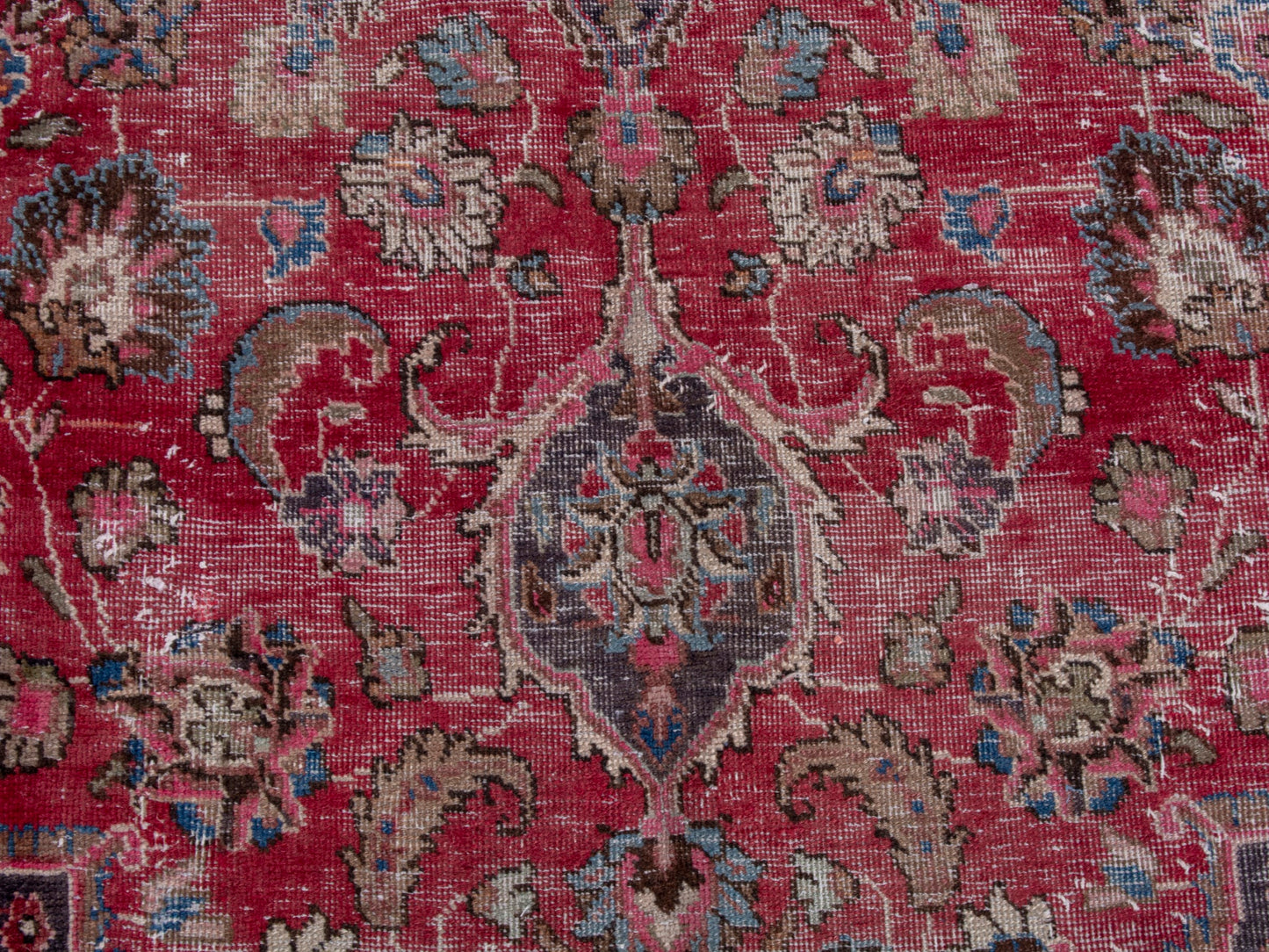 CAN_4703 - 8'2" x 11'6"