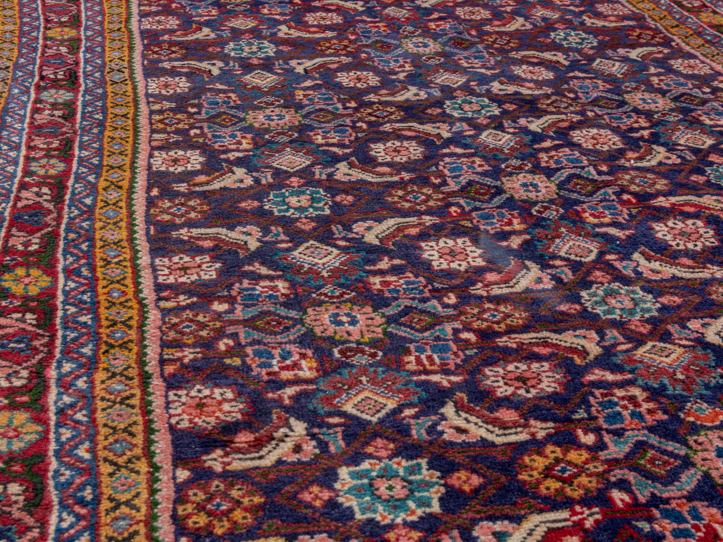 CAN_4762 - 4'4" x 8'9"
