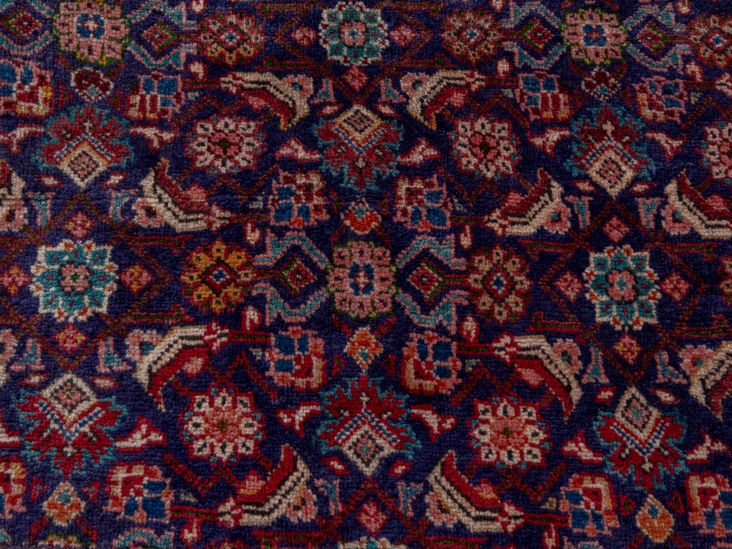 CAN_4762 - 4'4" x 8'9"