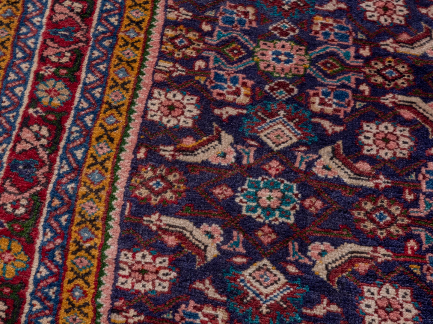 CAN_4762 - 4'4" x 8'9"