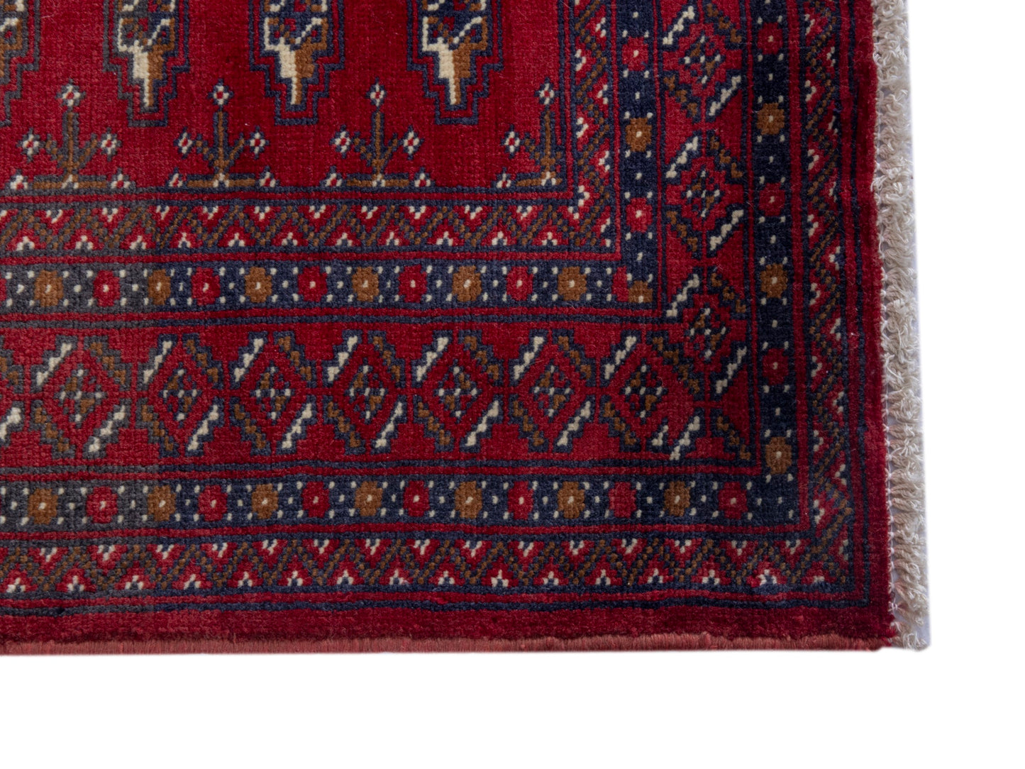 CAN_4785 - 4'8" x 2'4"