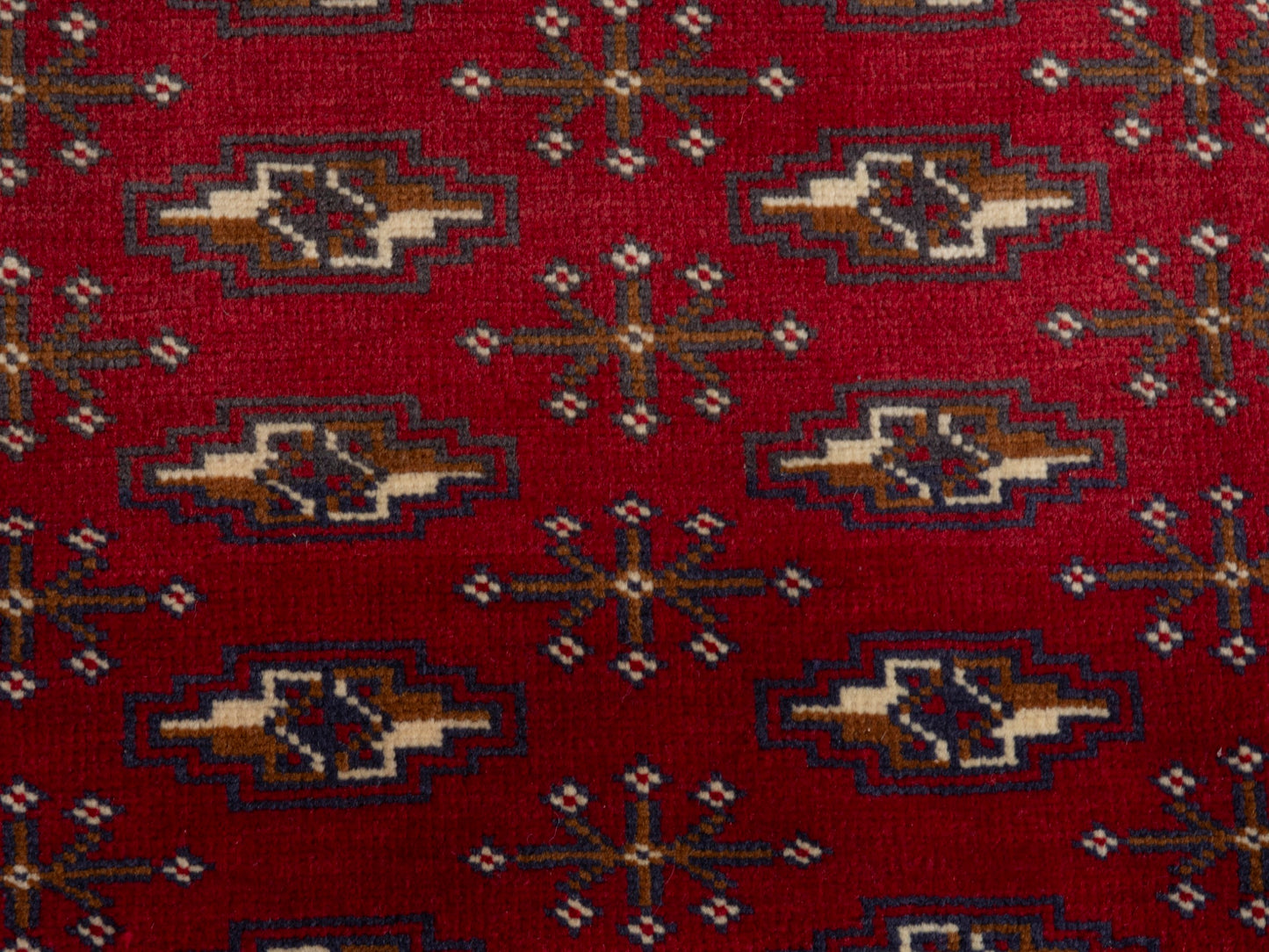 CAN_4785 - 4'8" x 2'4"