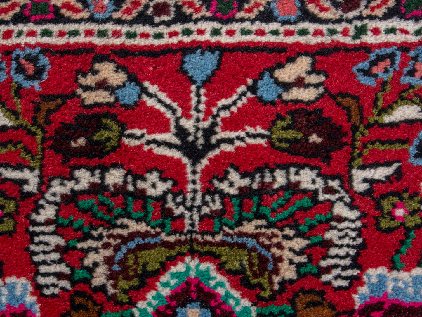 CAN_4792 - 1'8" x 2'6"