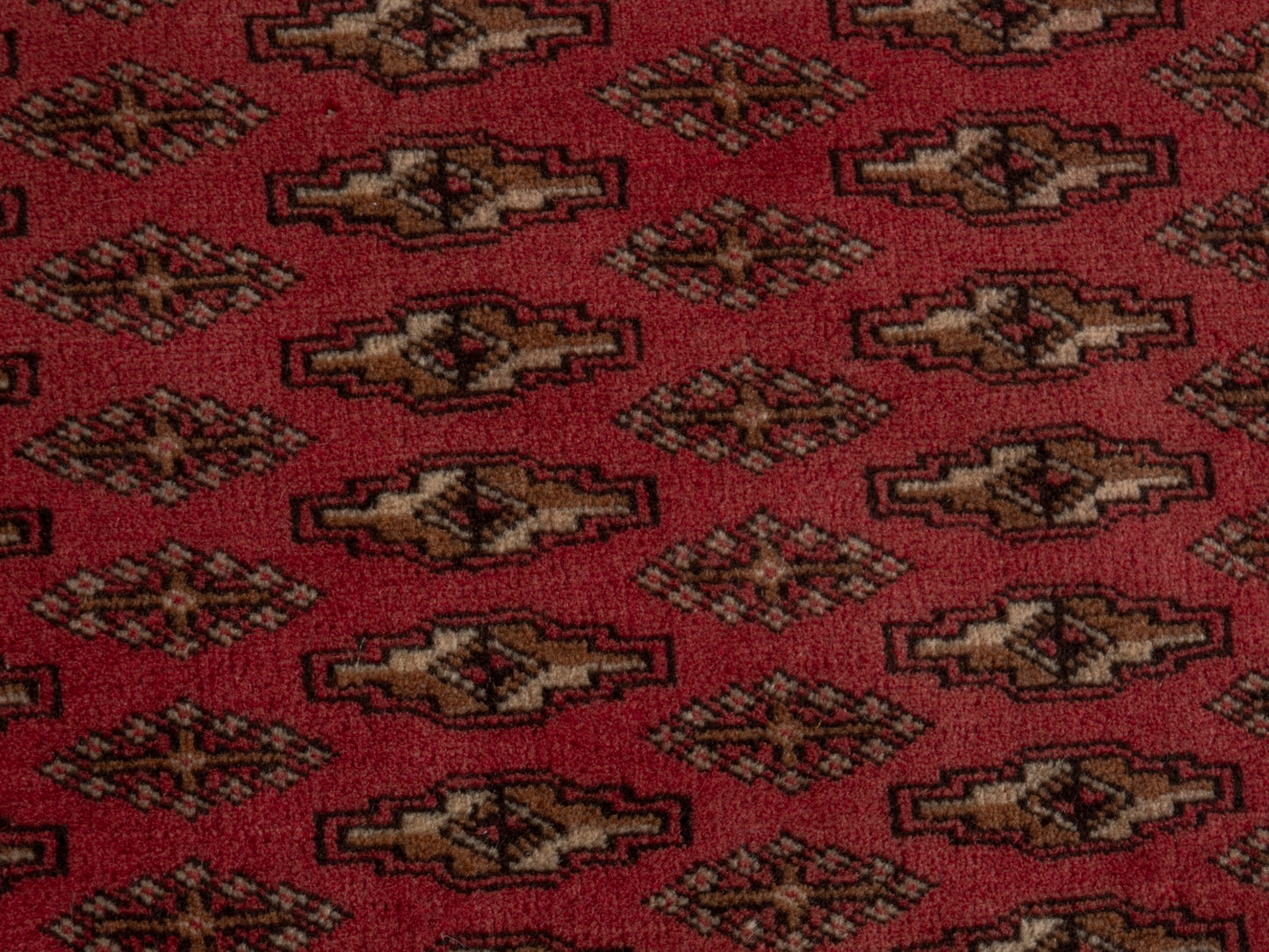CAN_4793 - 4'3" x 2'2"