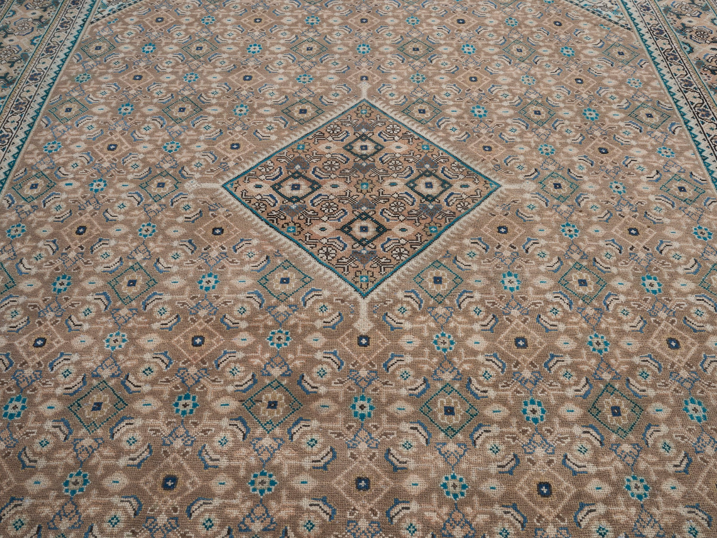 XL232 - 9'1" x 12'10"