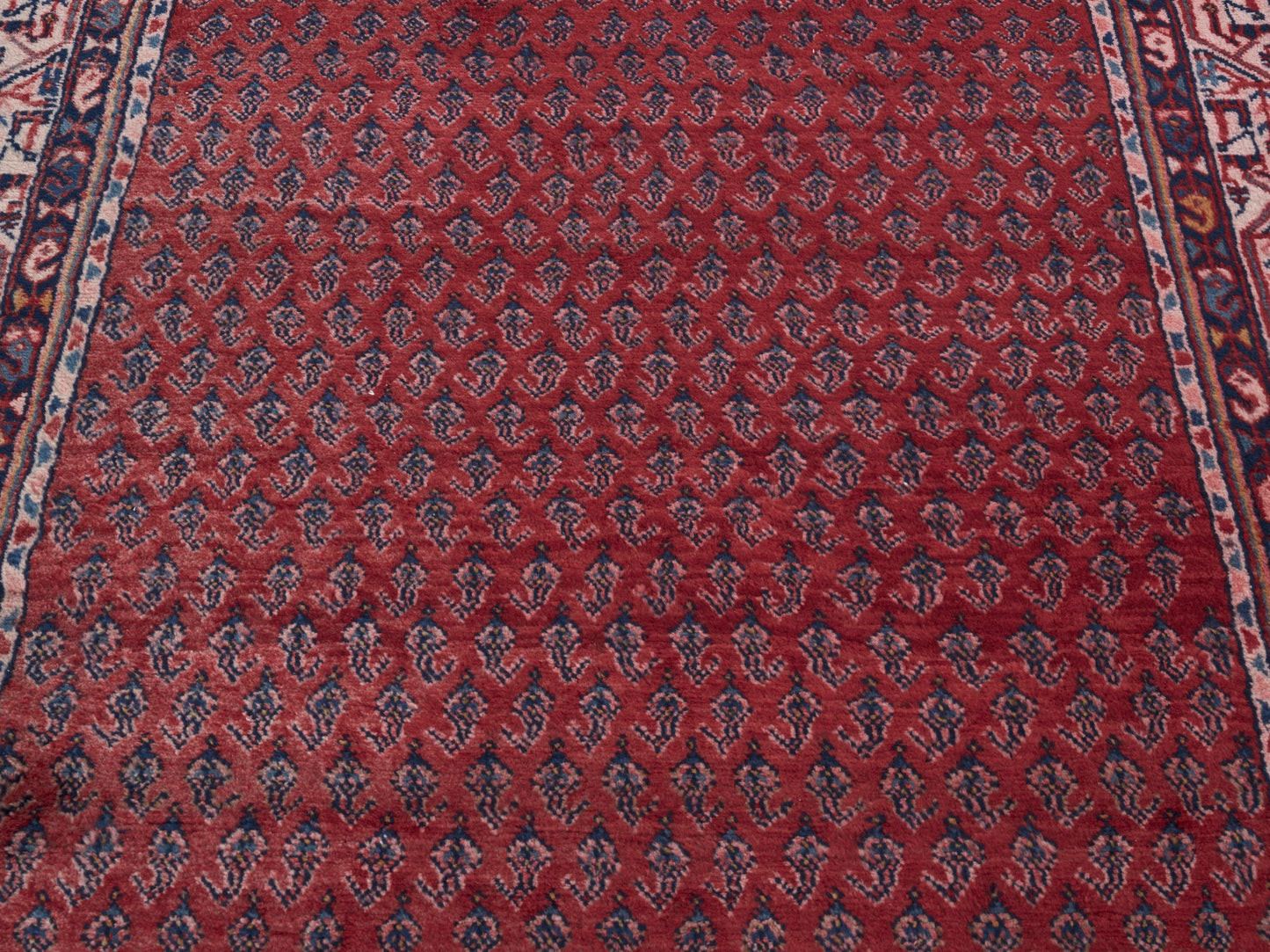 2921 - 3'11" x 10'9"