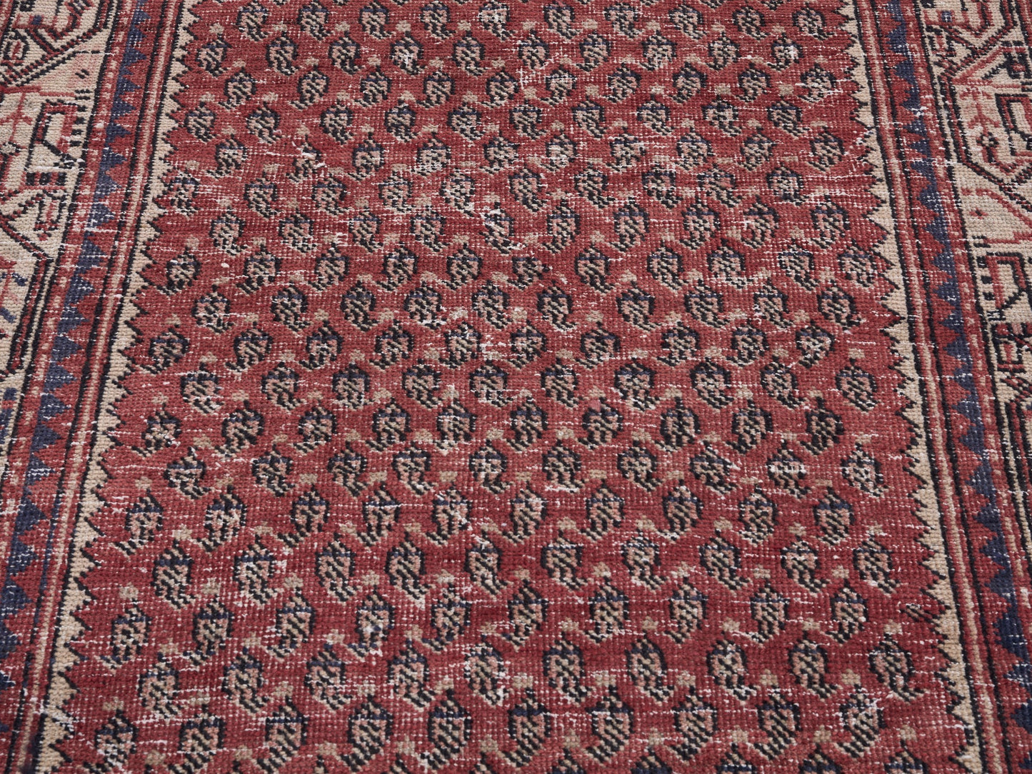 8225 - 3'1" x 9'4"