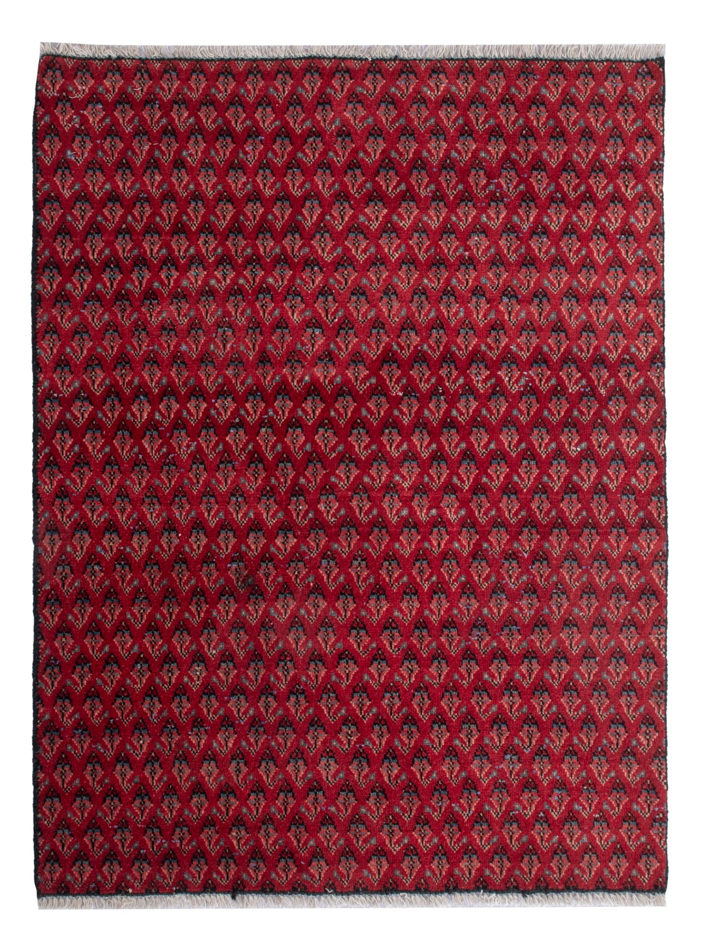 CAN_4810 - 2'7" x 3'1"