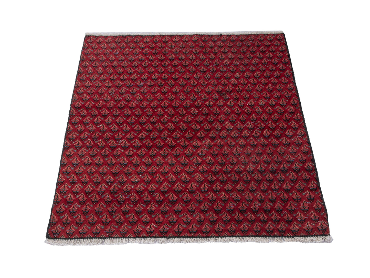 CAN_4810 - 2'7" x 3'1"