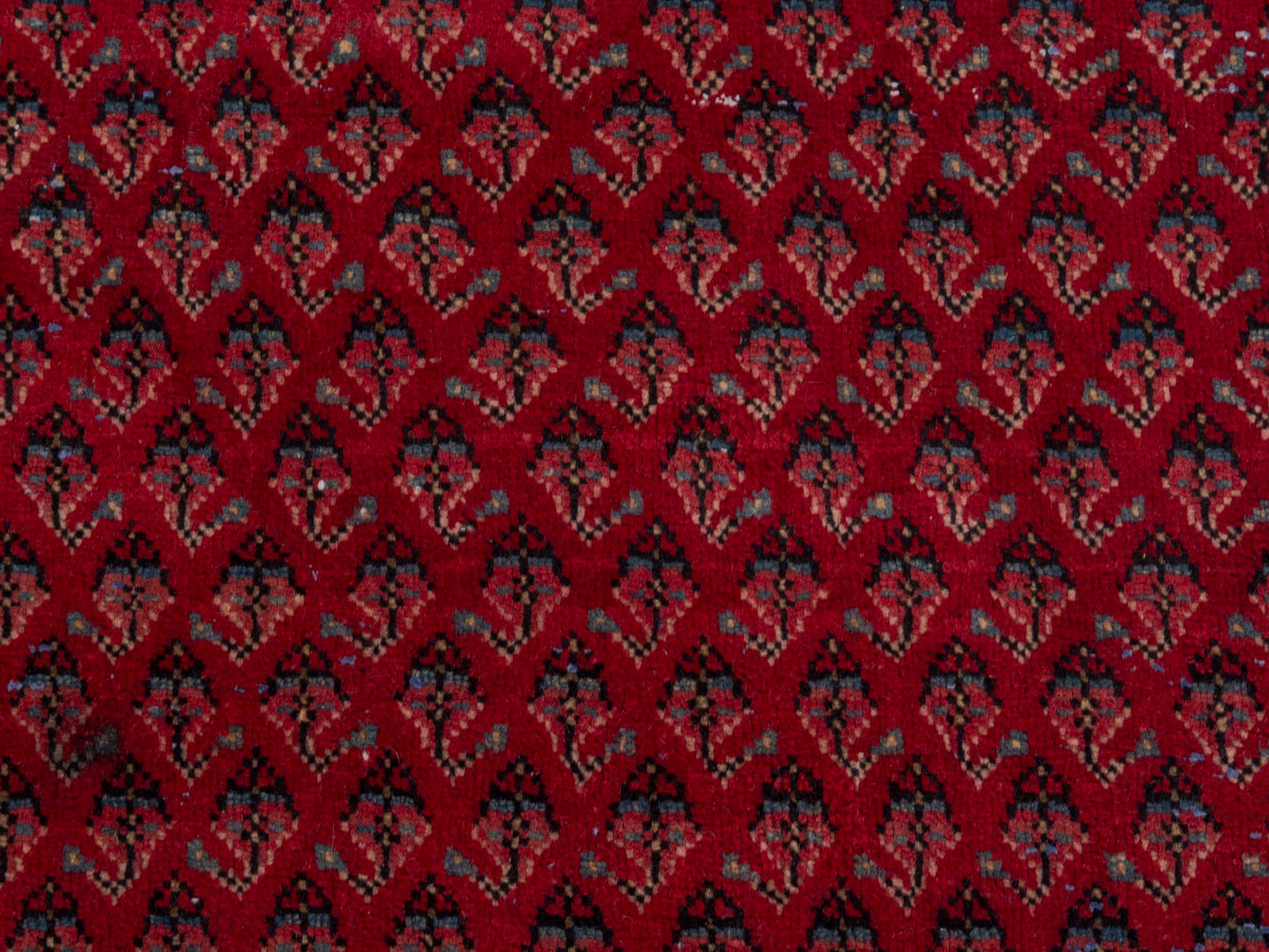 CAN_4810 - 2'7" x 3'1"