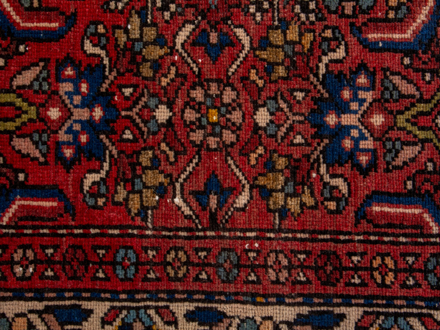 CAN_4656 - 3'11" x 6'9"