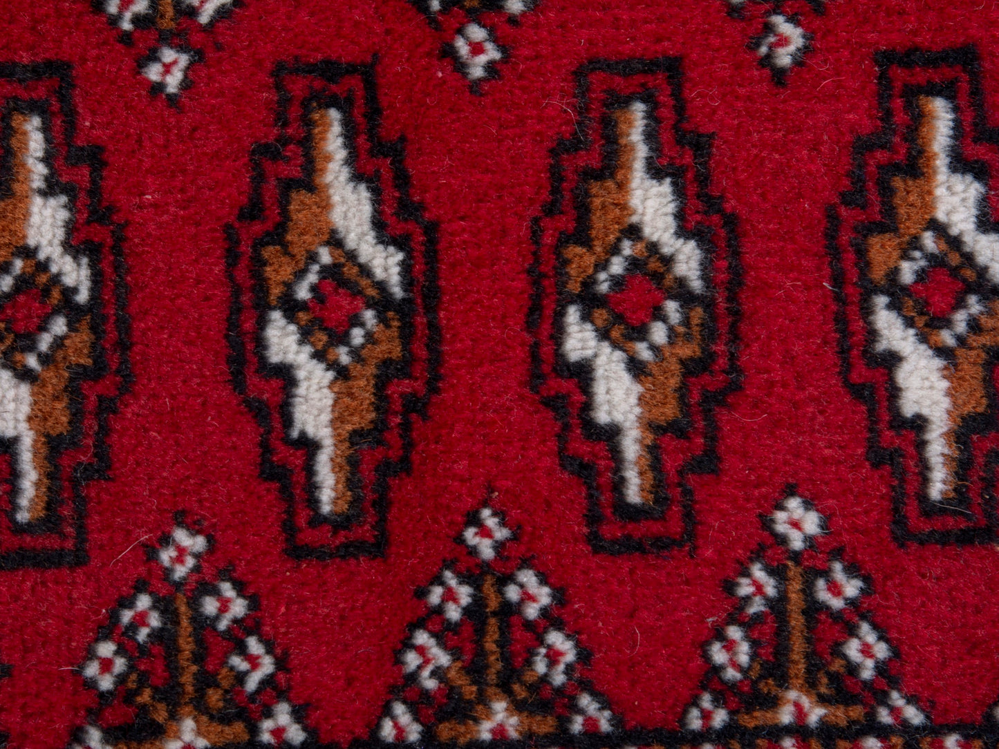 CAN_4872 - 3'1" x 1'8"