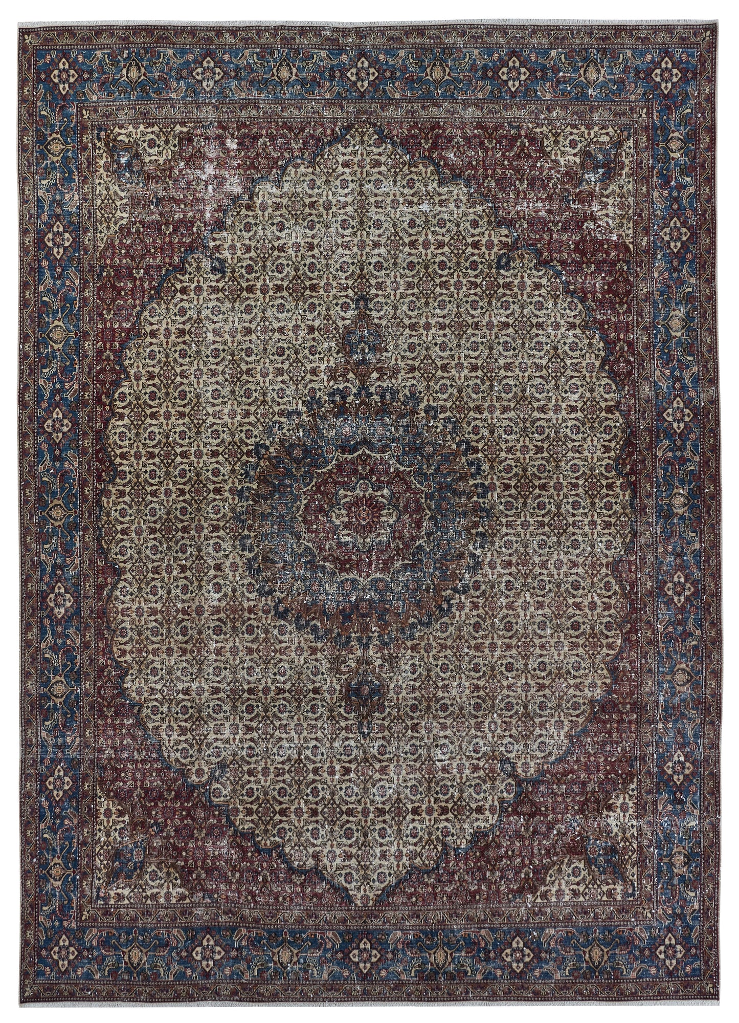 XL141 - 9'1" x 12'4"