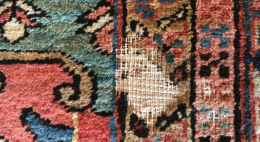 How To Protect Your Rug from Moth Damage