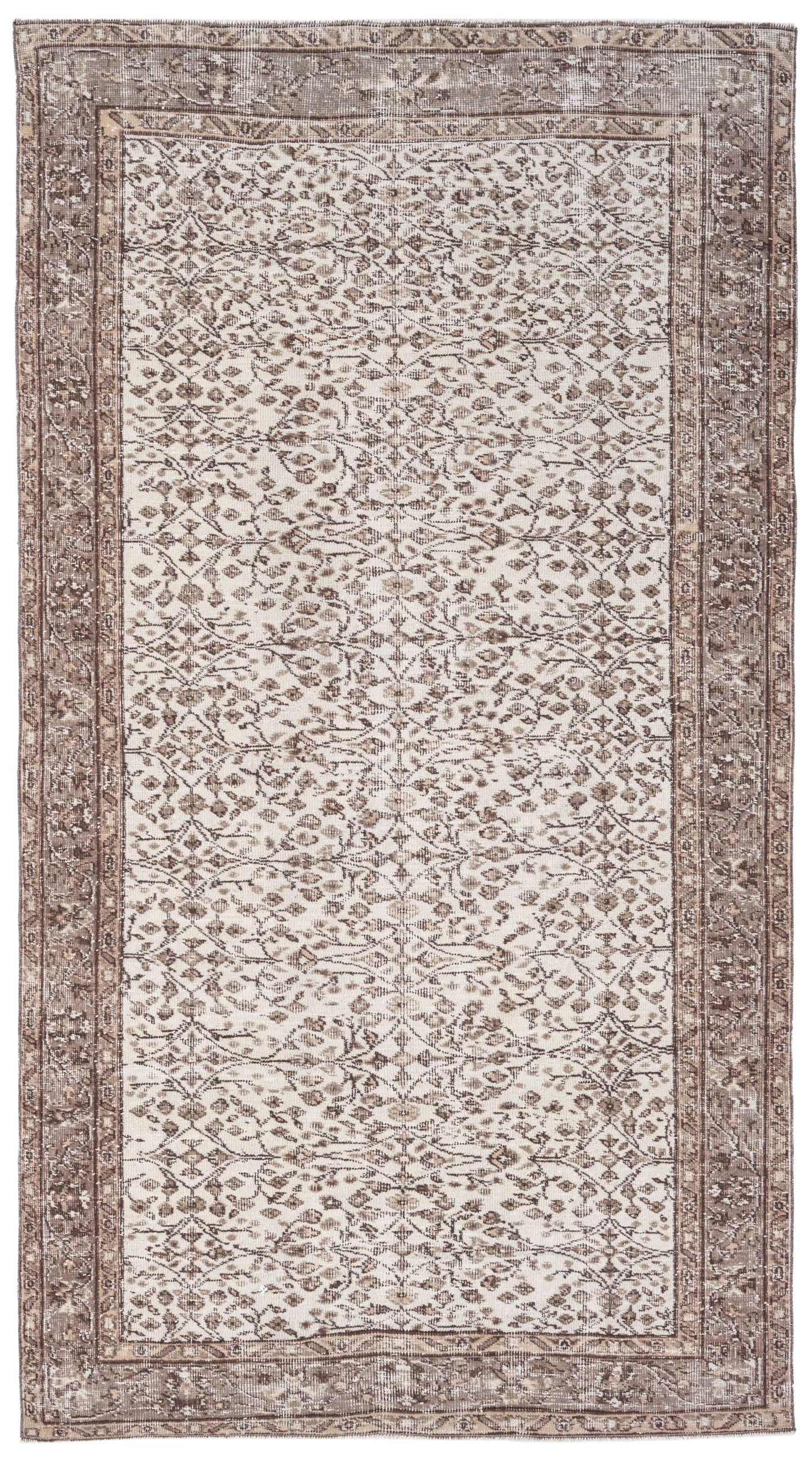3215 - 4'8" x 8'2"