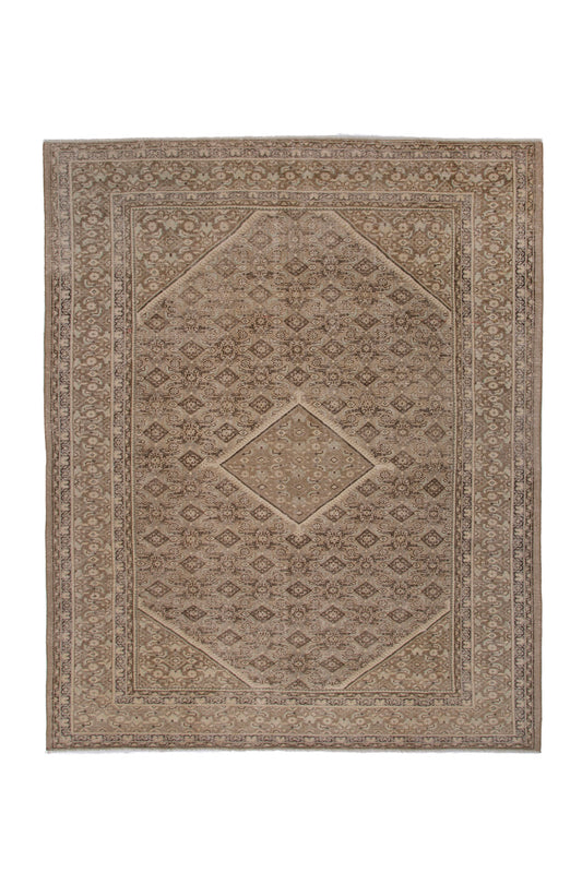 6476 - 10' x 12'10"