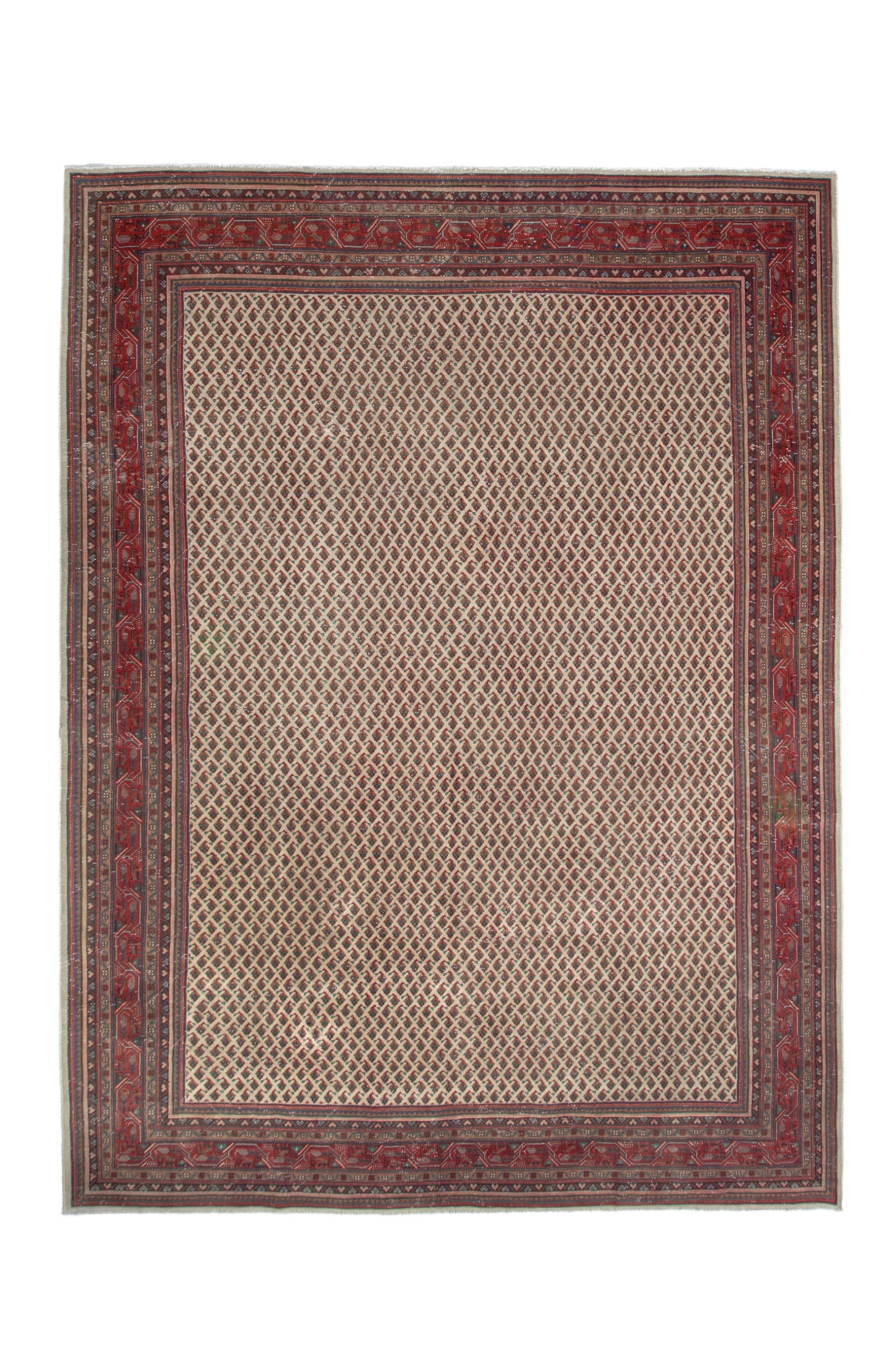 6529 - 9'2" x 12'4"