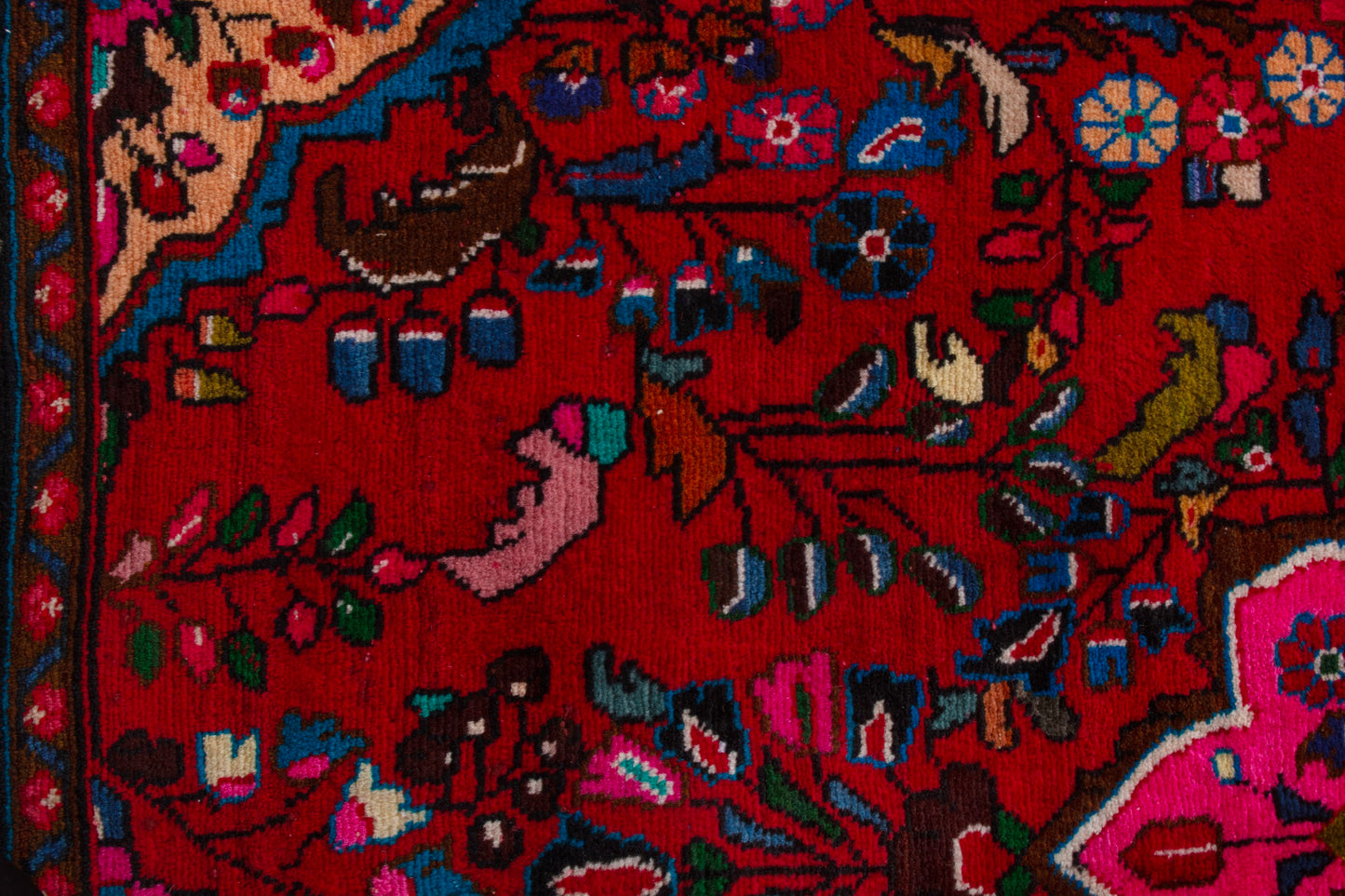 CAN_3909 - 3'11" x 5'6"