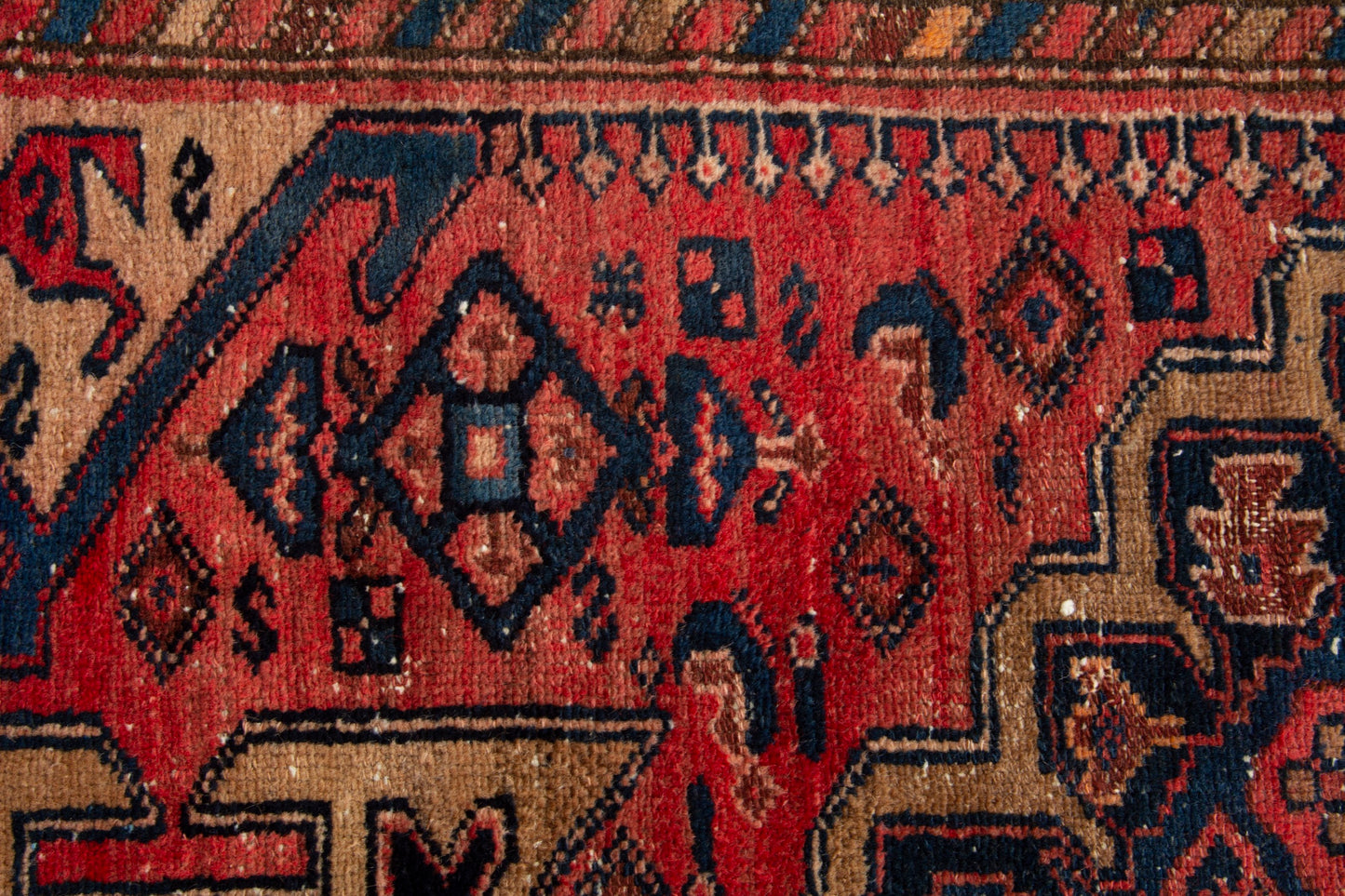 CAN_3919 - 3'1" x 6'1"