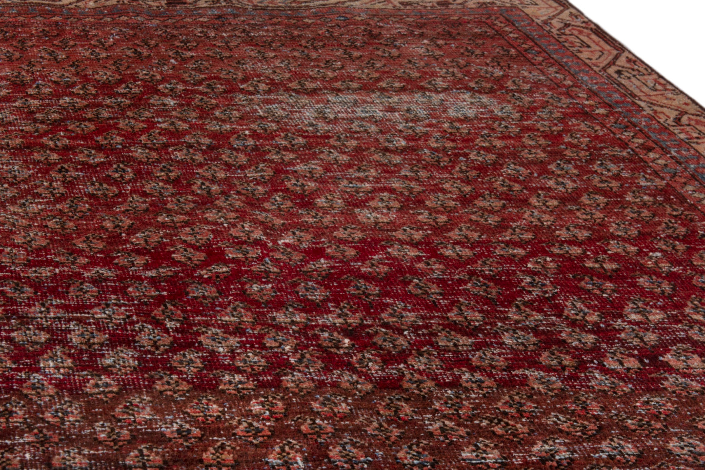 CAN_3933 - 4'2" x 6'2"