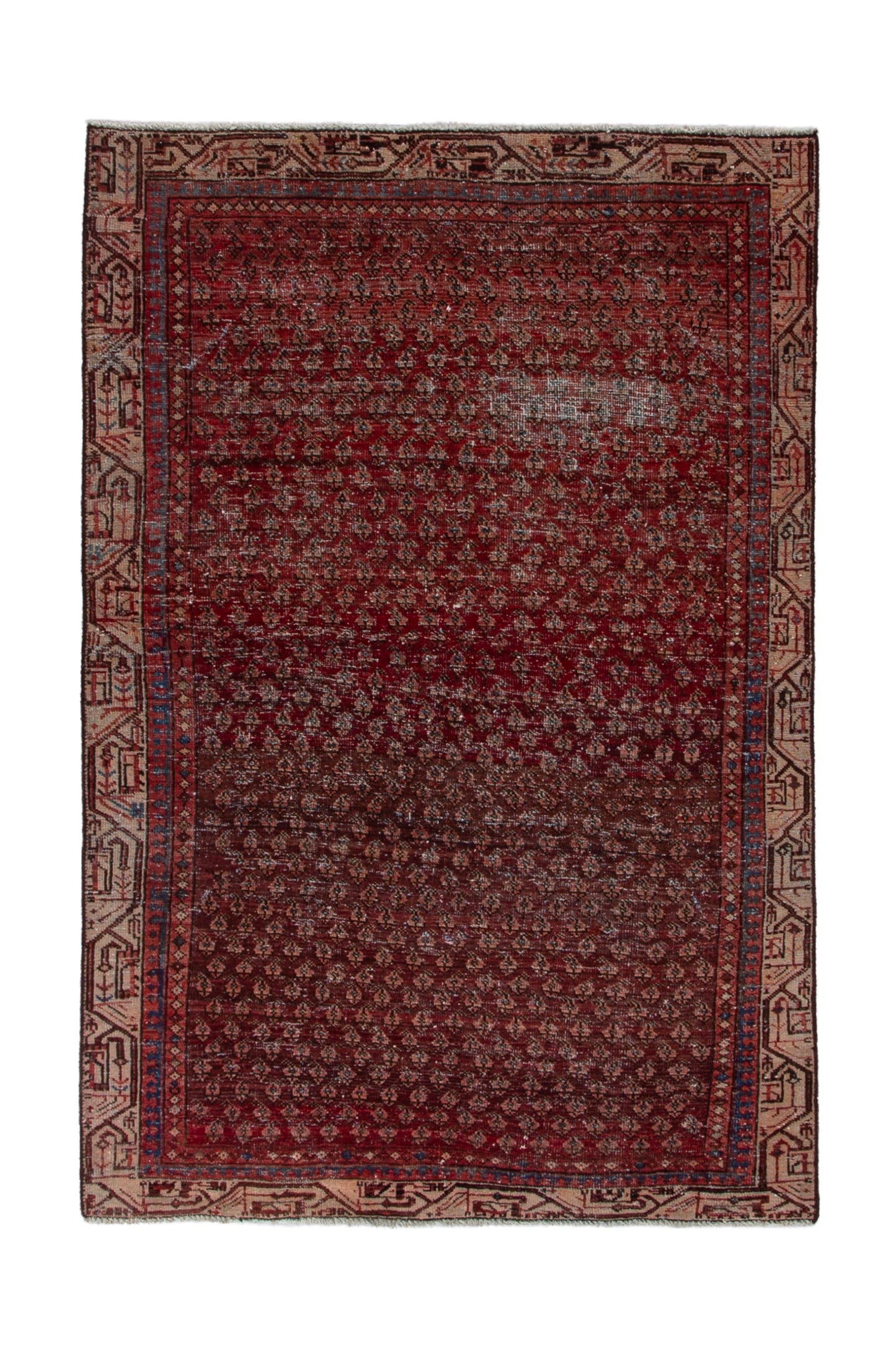 CAN_3933 - 4'2" x 6'2"