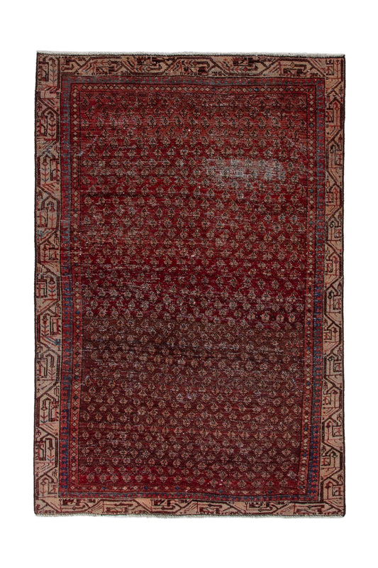 CAN_3933 - 4'2" x 6'2"