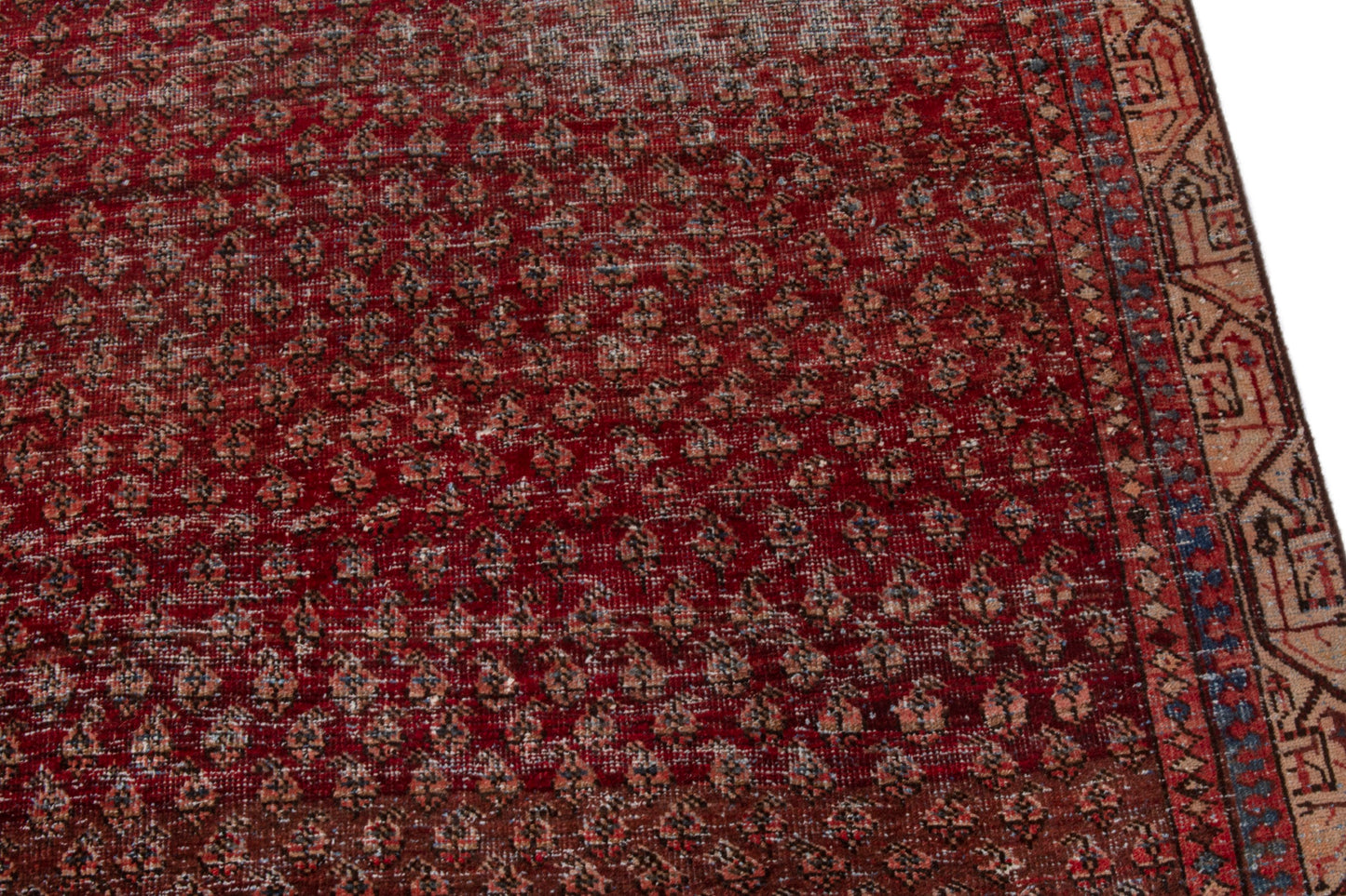 CAN_3933 - 4'2" x 6'2"