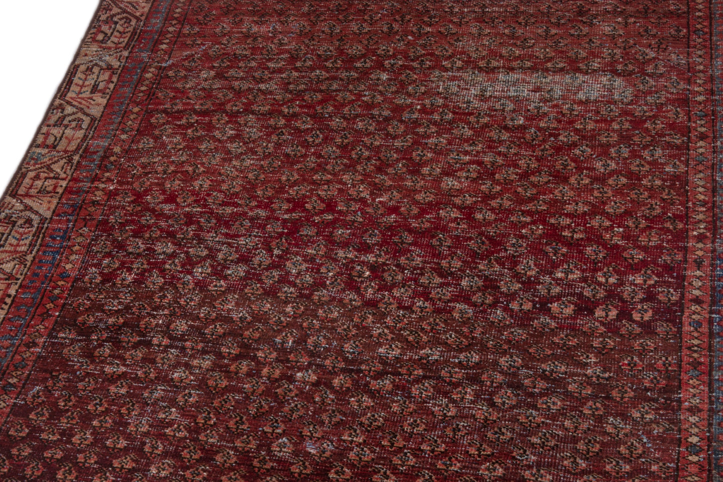 CAN_3933 - 4'2" x 6'2"