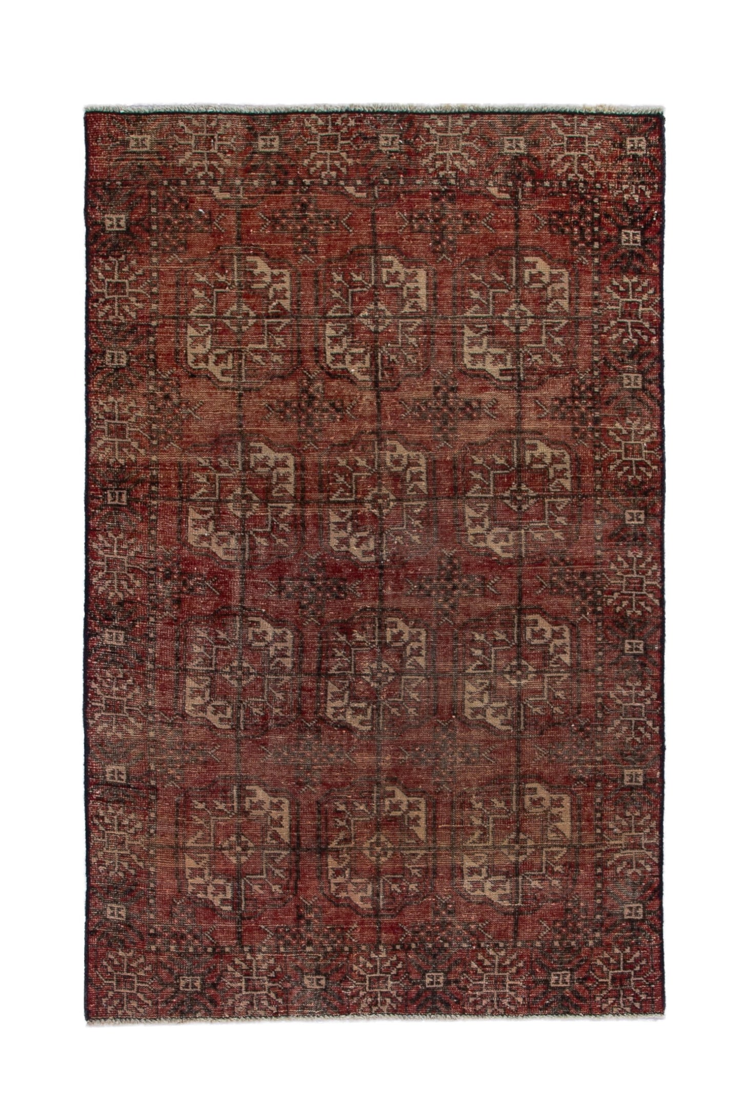 CAN_3935 - 3'7" x 5'7"